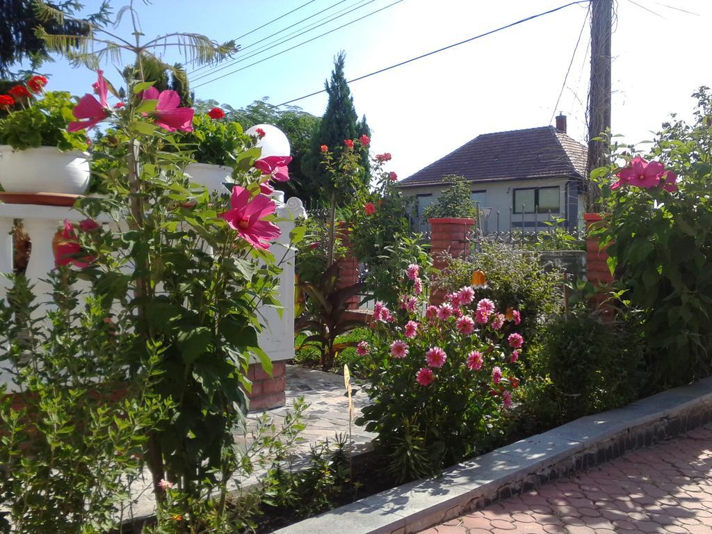 Bed and Breakfast Kristaly Apartman Хевіз Екстер'єр фото