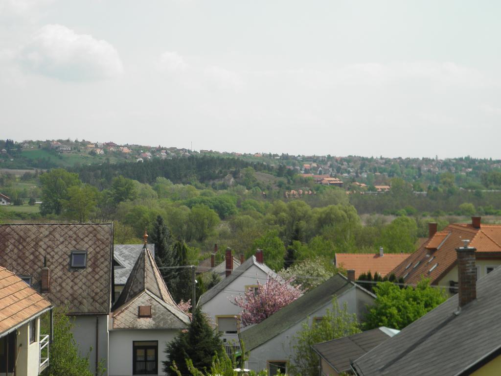 Bed and Breakfast Kristaly Apartman Хевіз Екстер'єр фото